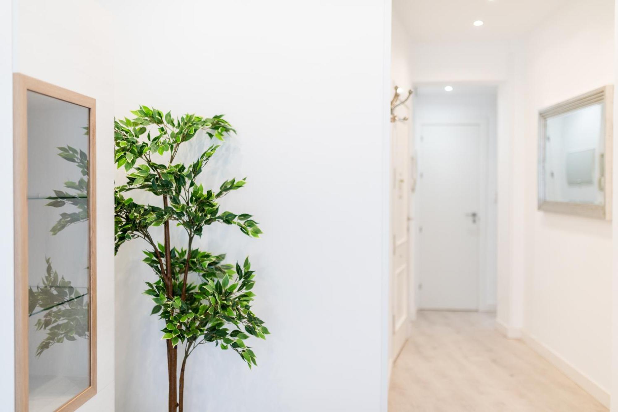 Wekey Homes Granada, Elvira Suites Centro Buitenkant foto